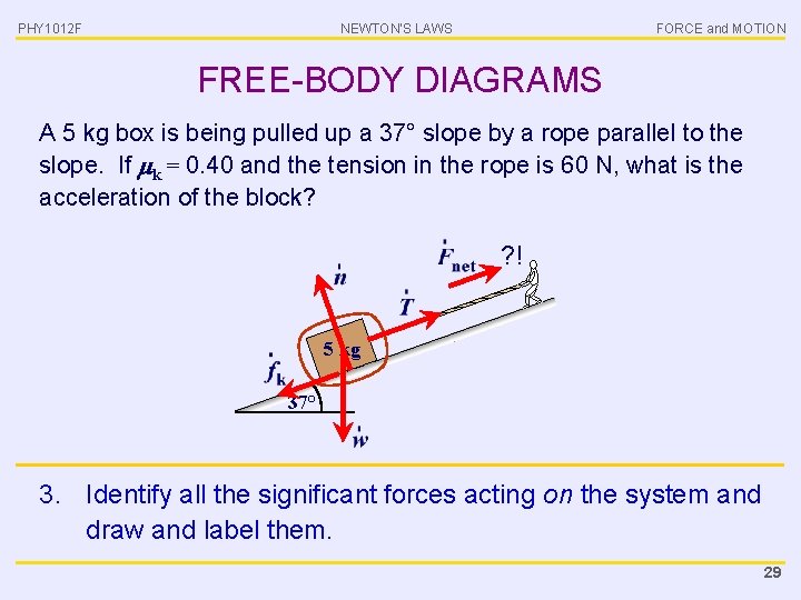PHY 1012 F NEWTON’S LAWS FORCE and MOTION FREE-BODY DIAGRAMS A 5 kg box