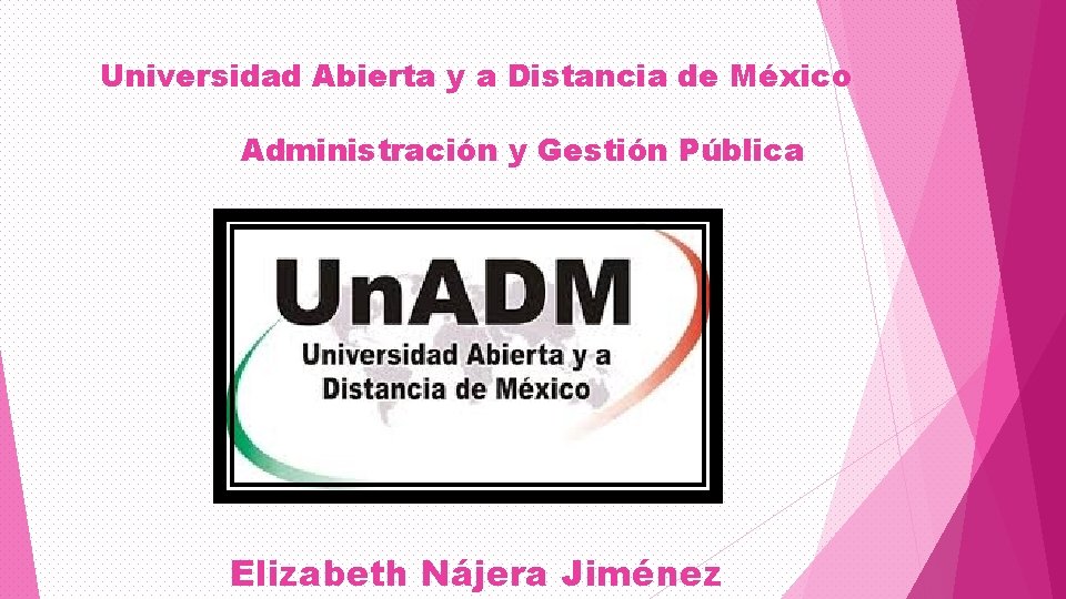 Universidad Abierta y a Distancia de México Administración y Gestión Pública Elizabeth Nájera Jiménez