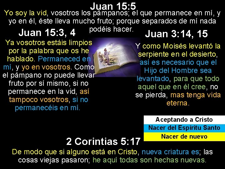 Juan 15: 5 Yo soy la vid, vosotros los pámpanos; el que permanece en