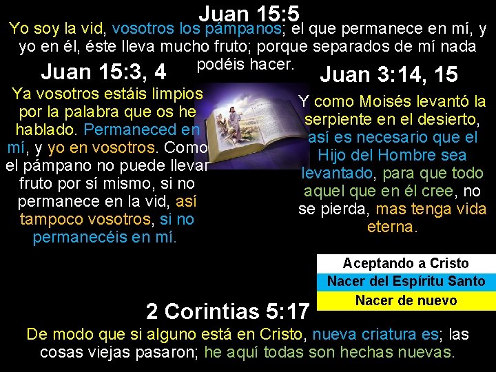 Juan 15: 5 Yo soy la vid, vosotros los pámpanos; el que permanece en