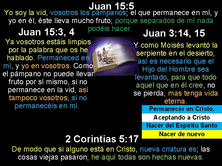 Juan 15: 5 Yo soy la vid, vosotros los pámpanos; el que permanece en