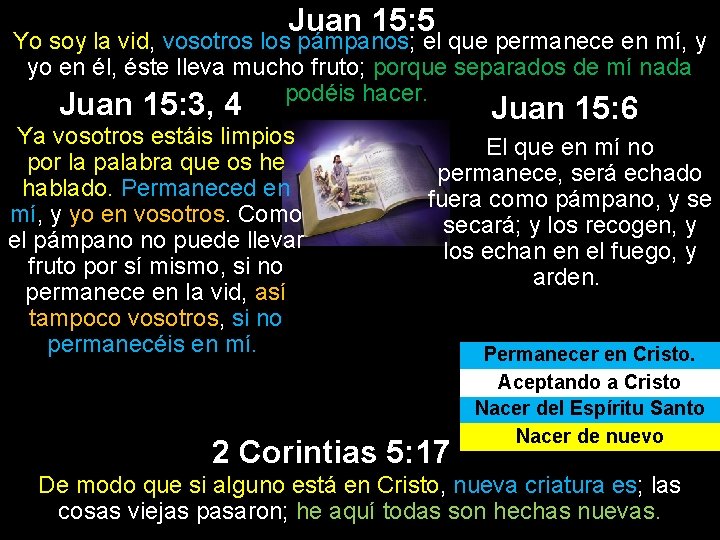 Juan 15: 5 Yo soy la vid, vosotros los pámpanos; el que permanece en