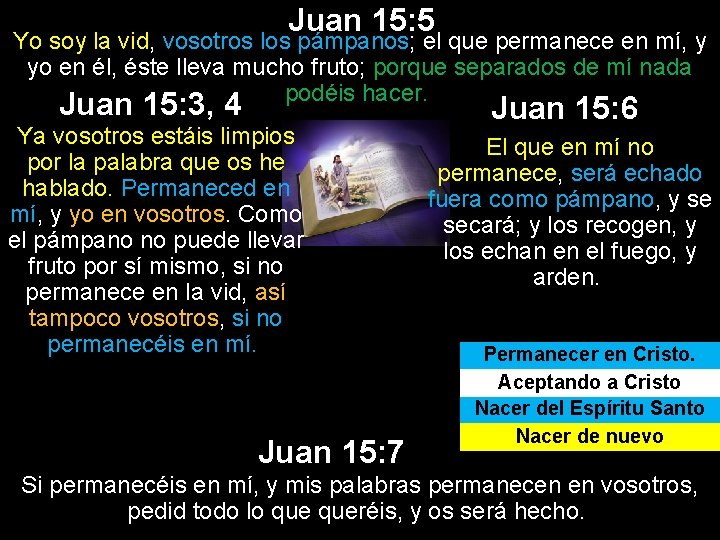 Juan 15: 5 Yo soy la vid, vosotros los pámpanos; el que permanece en