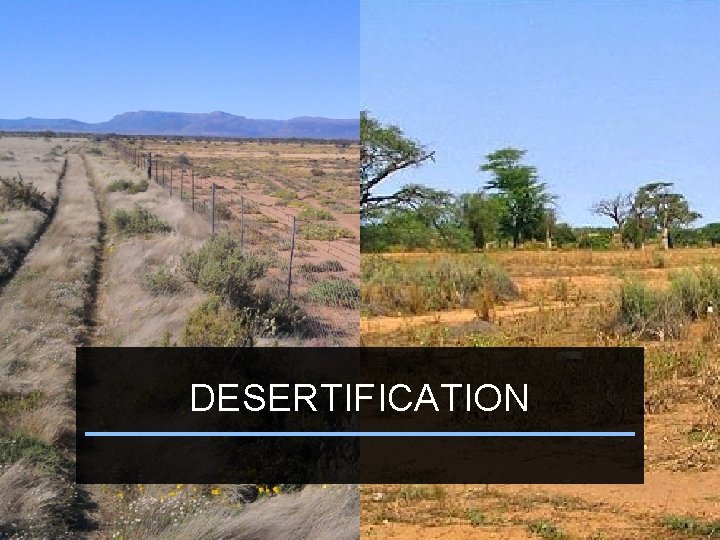 DESERTIFICATION 