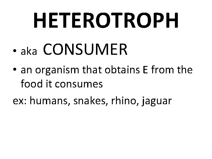 HETEROTROPH • aka CONSUMER • an organism that obtains E from the food it