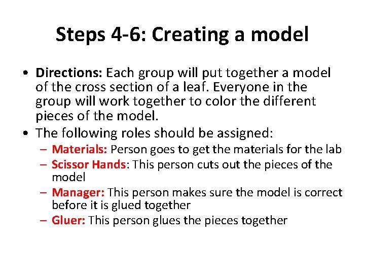 Steps 4 -6: Creating a model • Directions: Each group will put together a