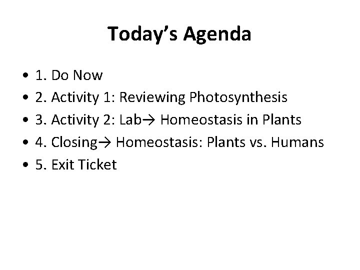 Today’s Agenda • • • 1. Do Now 2. Activity 1: Reviewing Photosynthesis 3.