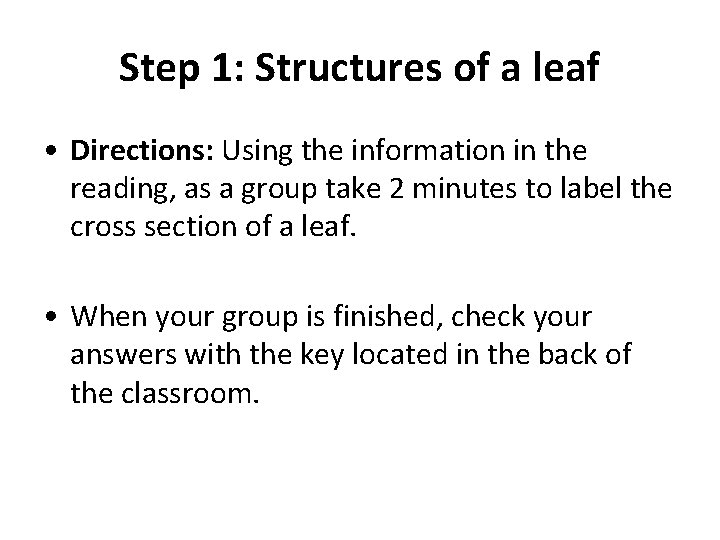 Step 1: Structures of a leaf • Directions: Using the information in the reading,