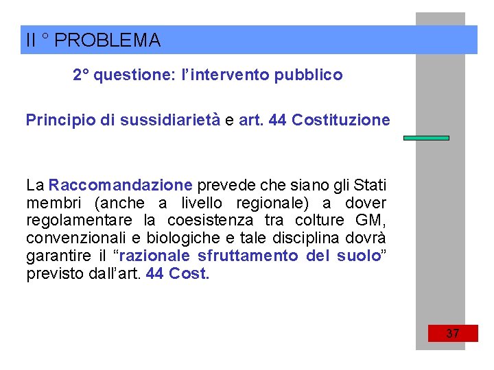 II ° PROBLEMA 2° questione: l’intervento pubblico Principio di sussidiarietà e art. 44 Costituzione