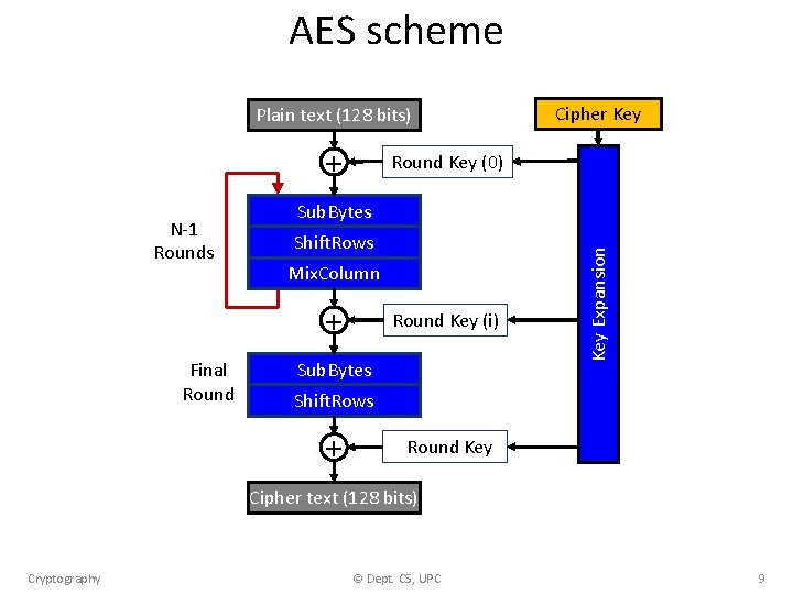 AES scheme Plain text (128 bits) + Round Key (0) Sub. Bytes Shift. Rows