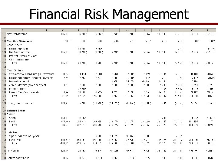 Financial Risk Management 