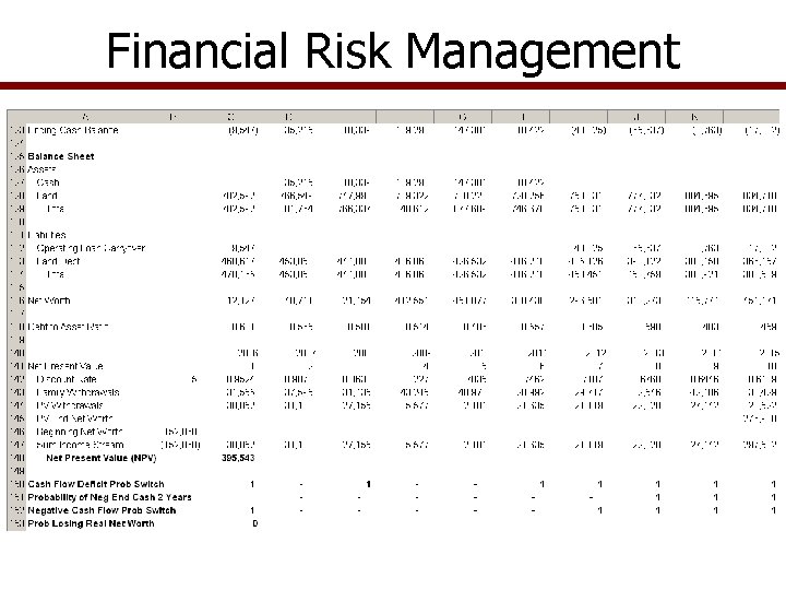 Financial Risk Management 