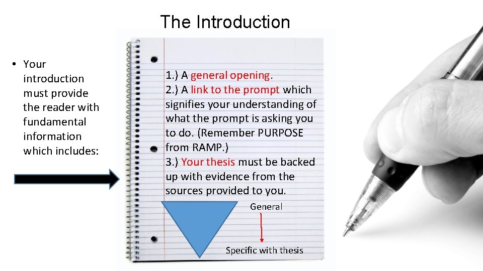 The Introduction • Your introduction must provide the reader with fundamental information which includes: