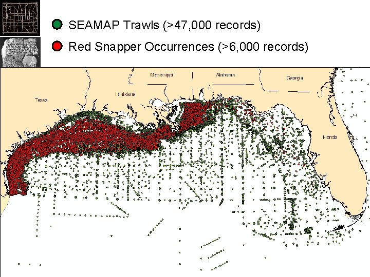 SEAMAP Trawls (>47, 000 records) Red Snapper Occurrences (>6, 000 records) 