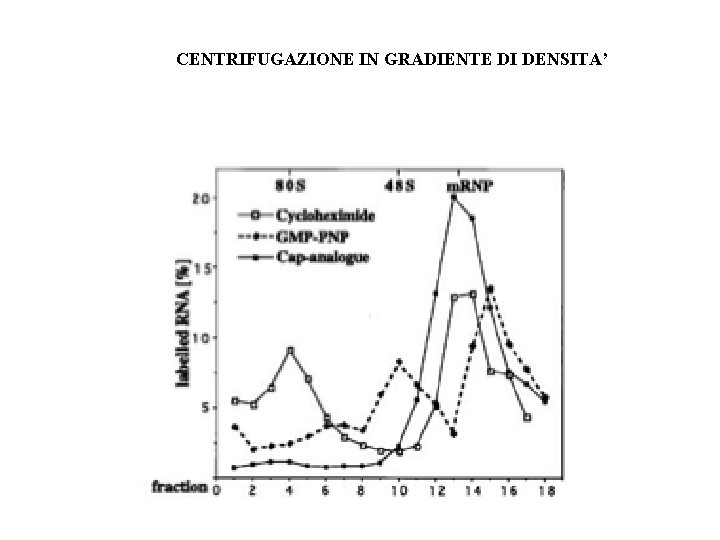 CENTRIFUGAZIONE IN GRADIENTE DI DENSITA’ 