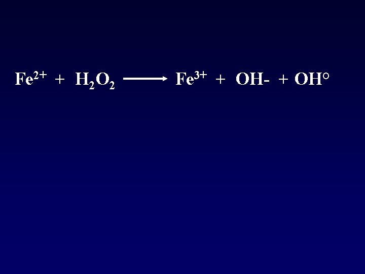 Fe 2+ + H 2 O 2 Fe 3+ + OH- + OH° 