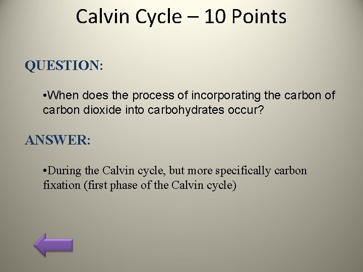 Calvin Cycle – 10 Points QUESTION: • When does the process of incorporating the