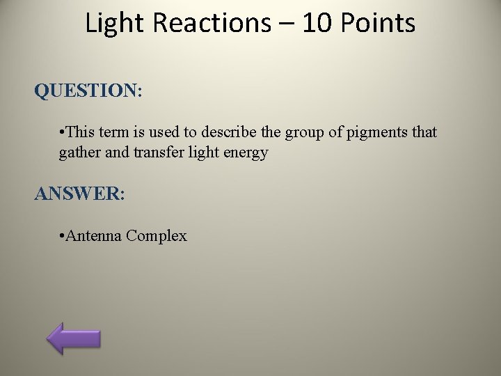 Light Reactions – 10 Points QUESTION: • This term is used to describe the