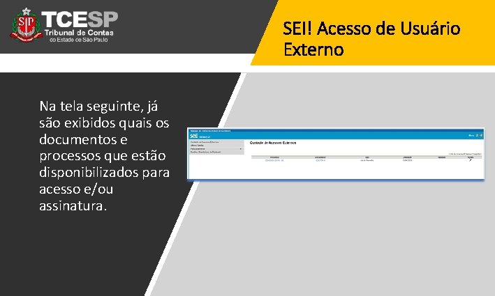 SEI! Acesso de Usuário Externo Na tela seguinte, já são exibidos quais os documentos