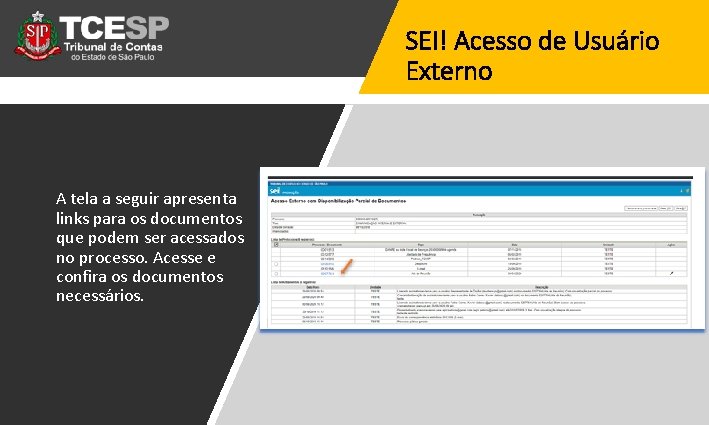 SEI! Acesso de Usuário Externo A tela a seguir apresenta links para os documentos