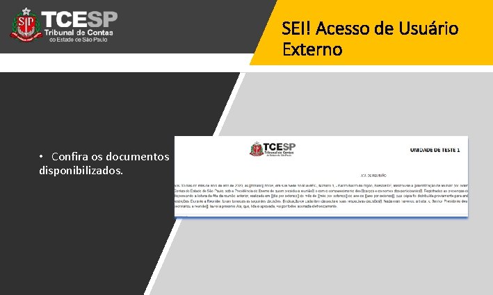 SEI! Acesso de Usuário Externo • Confira os documentos disponibilizados. 