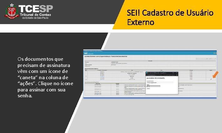 SEI! Cadastro de Usuário Externo Os documentos que precisam de assinatura vêm com um