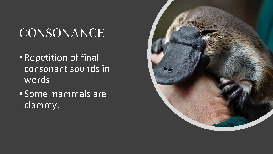 CONSONANCE • Repetition of final consonant sounds in words • Some mammals are clammy.