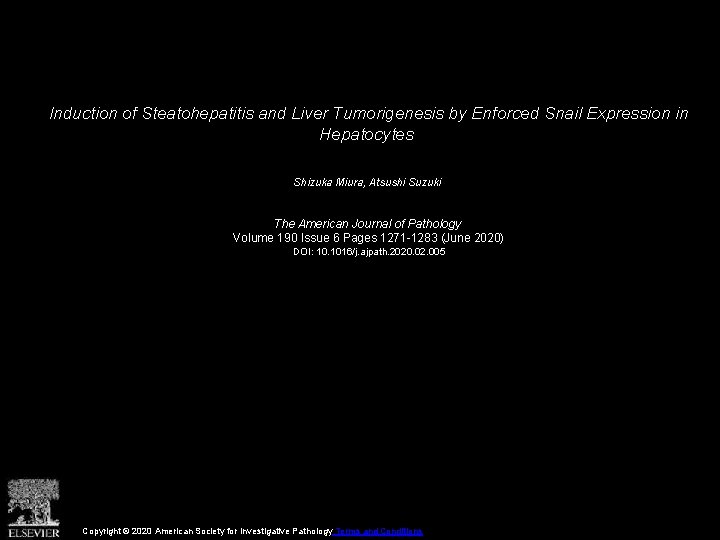 Induction of Steatohepatitis and Liver Tumorigenesis by Enforced Snail Expression in Hepatocytes Shizuka Miura,