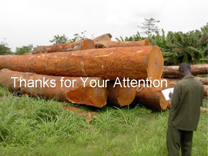 Thanks for Your Attention 