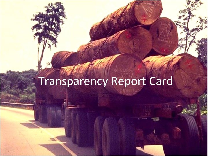 Transparency Report Card 