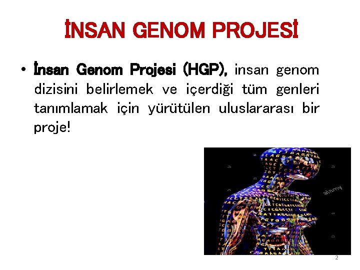 İNSAN GENOM PROJESİ • İnsan Genom Projesi (HGP), insan genom dizisini belirlemek ve içerdiği