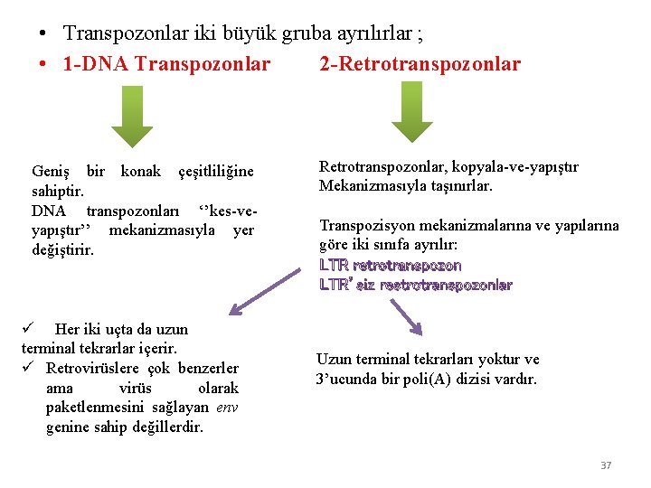  • Transpozonlar iki büyük gruba ayrılırlar ; • 1 -DNA Transpozonlar 2 -Retrotranspozonlar