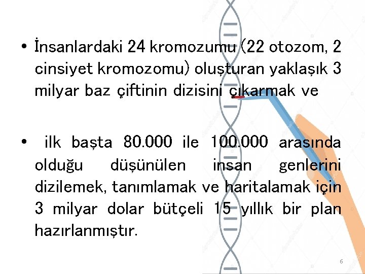  • İnsanlardaki 24 kromozumu (22 otozom, 2 cinsiyet kromozomu) oluşturan yaklaşık 3 milyar