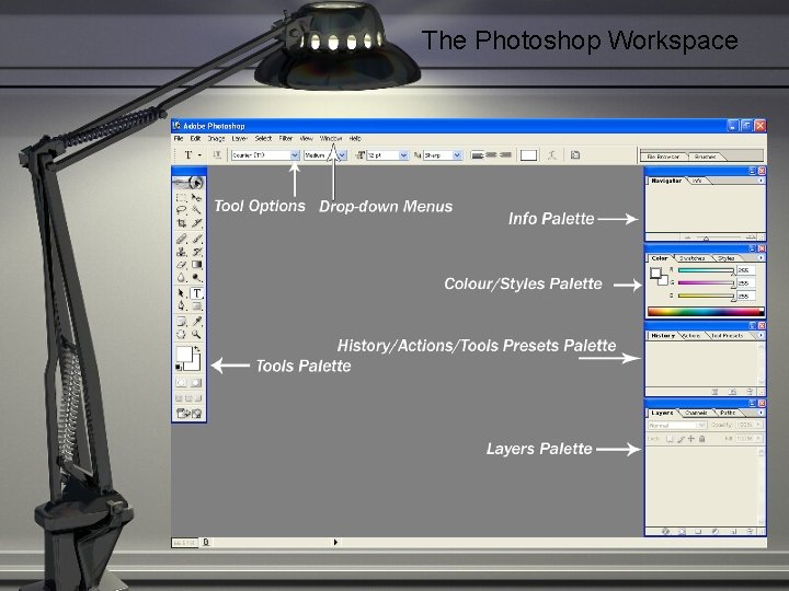 The Photoshop Workspace 