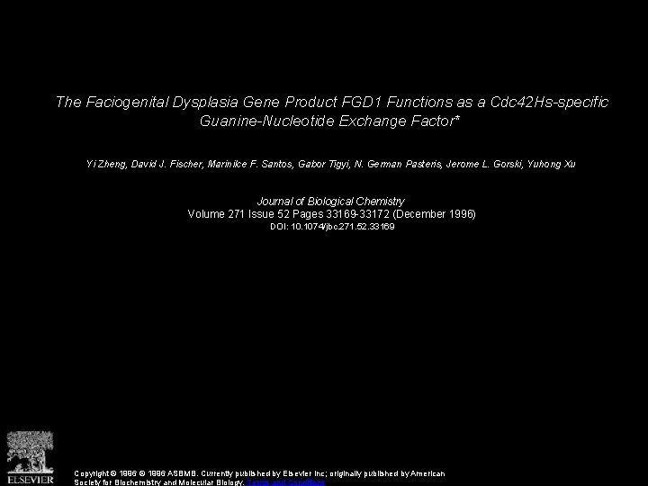 The Faciogenital Dysplasia Gene Product FGD 1 Functions as a Cdc 42 Hs-specific Guanine-Nucleotide