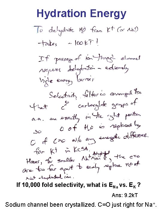 Hydration Energy If 10, 000 fold selectivity, what is ENa vs. EK ? Ans: