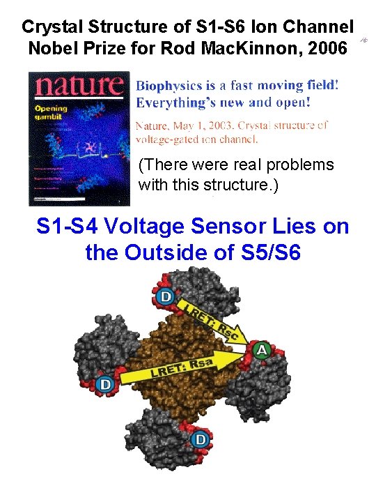 Crystal Structure of S 1 -S 6 Ion Channel Nobel Prize for Rod Mac.