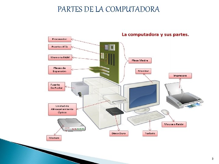 PARTES DE LA COMPUTADORA 3 