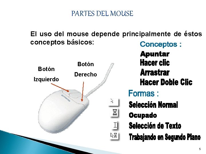 PARTES DEL MOUSE El uso del mouse depende principalmente de éstos conceptos básicos: Botón