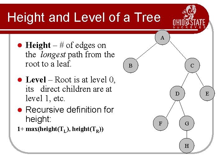 Height and Level of a Tree l Height – # of edges on the