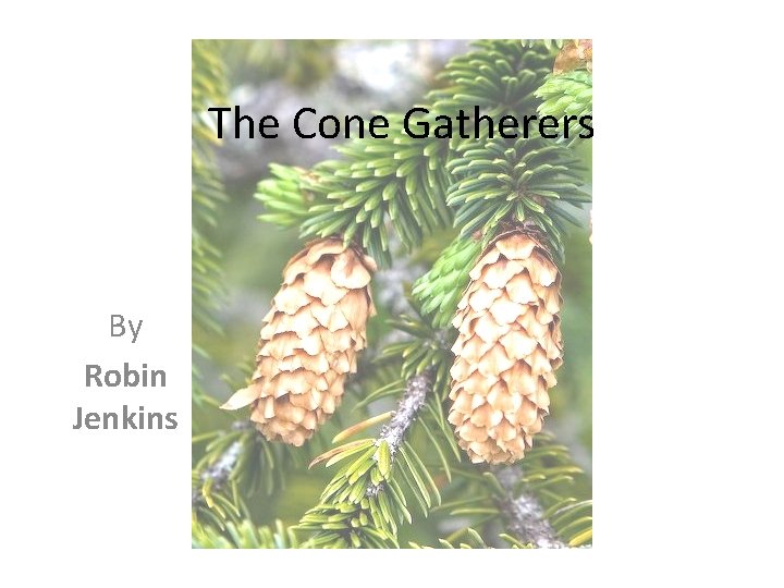 The Cone Gatherers By Robin Jenkins 