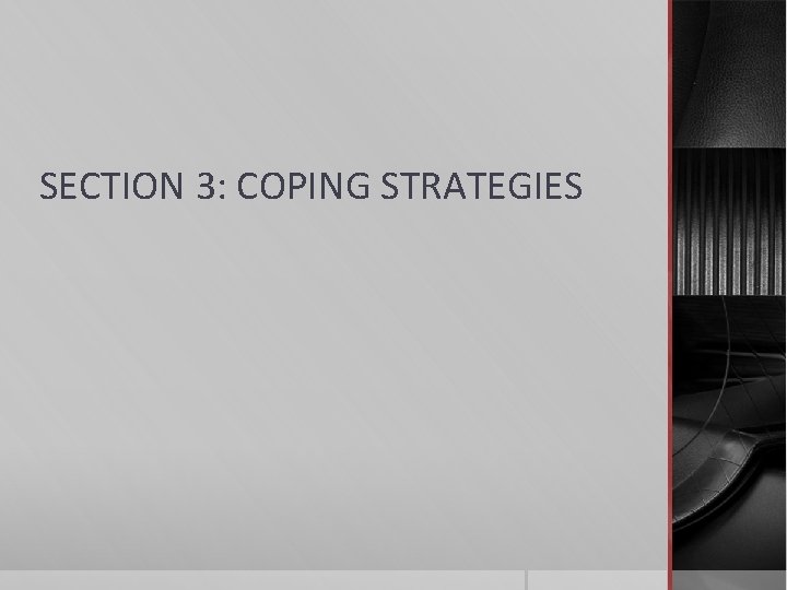 SECTION 3: COPING STRATEGIES 