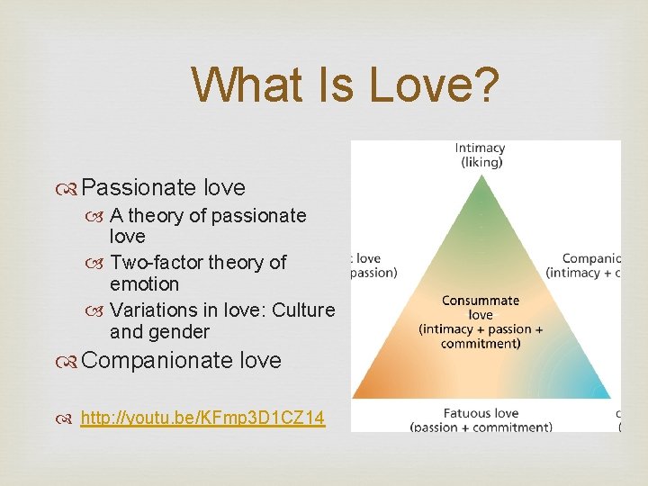 What Is Love? Passionate love A theory of passionate love Two-factor theory of emotion