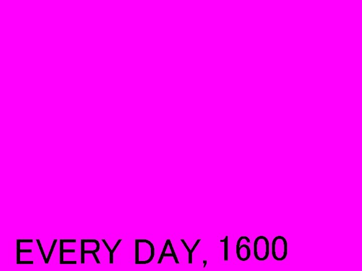EVERY DAY, 1600 
