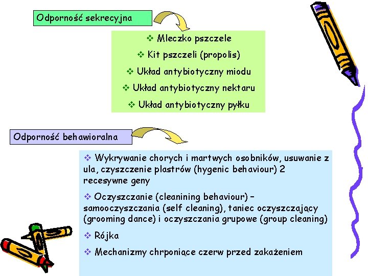 Odporność sekrecyjna v Mleczko pszczele v Kit pszczeli (propolis) v Układ antybiotyczny miodu v