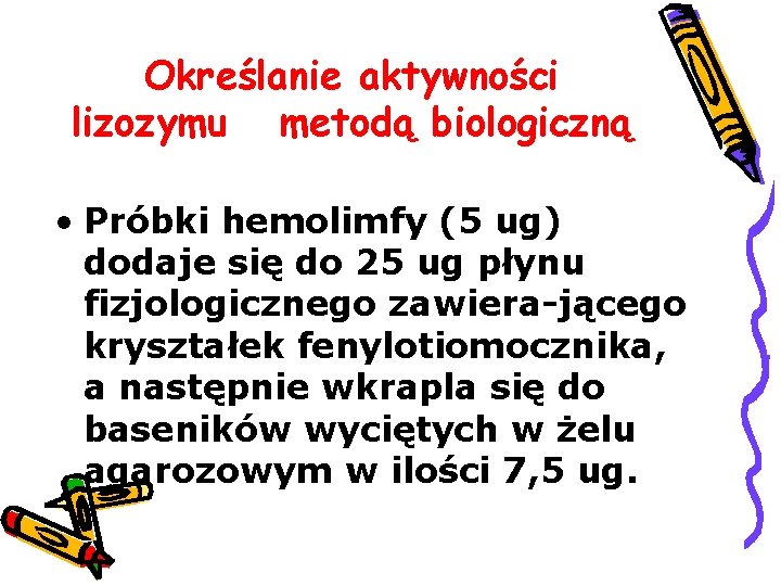 Określanie aktywności lizozymu metodą biologiczną • Próbki hemolimfy (5 ug) dodaje się do 25