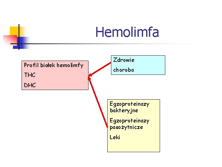 Hemolimfa Profil białek hemolimfy THC Zdrowie choroba DHC Egzoproteinazy bakteryjne Egzoproteinazy pasożytnicze Leki 