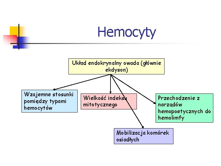 Hemocyty Układ endokrynalny owada (głównie ekdyson) Wzajemne stosunki pomiędzy typami hemocytów Wielkość indeksu mitotycznego