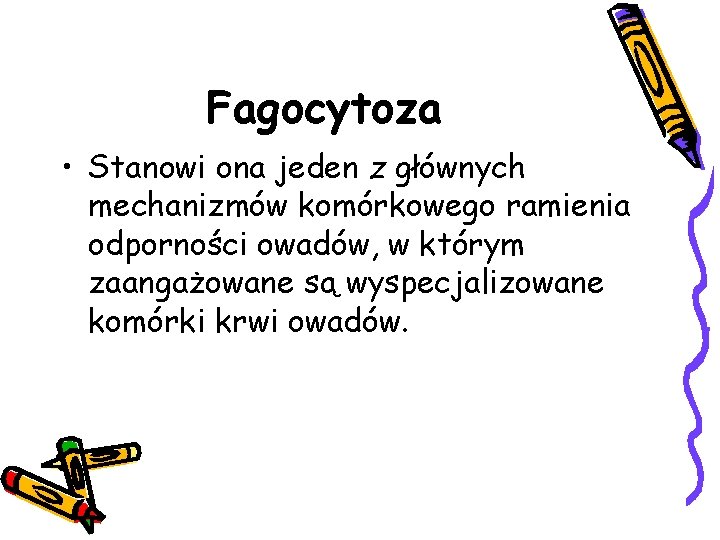 Fagocytoza • Stanowi ona jeden z głównych mechanizmów komórkowego ramienia odporności owadów, w którym