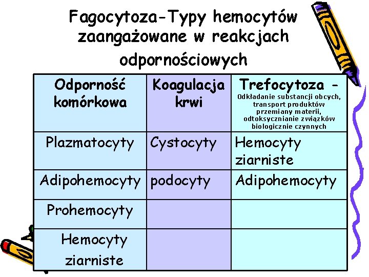 Fagocytoza-Typy hemocytów zaangażowane w reakcjach odpornościowych Odporność komórkowa Plazmatocyty Koagulacja Trefocytoza 0 dkładanie substancji